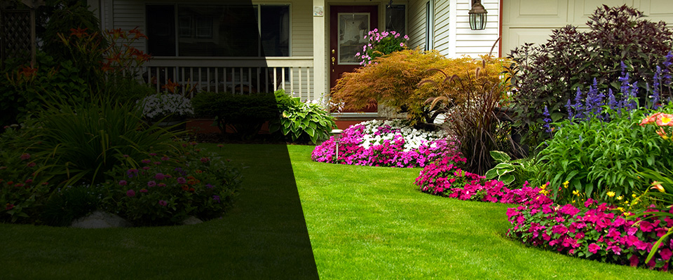 Fair Oaks Landscapers