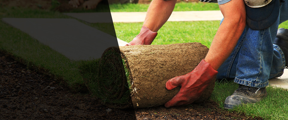 Fair Oaks Landscapers